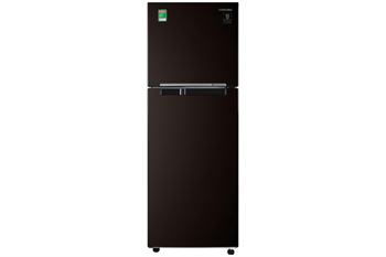 Tủ lạnh Samsung Inverter 236 lít RT22M4032BY